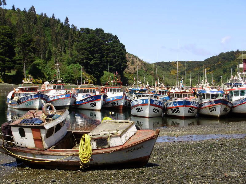 Angelmo, das Hafengebiet von Puerto Montt, lockt mit Fischspezialitäten und ist Ausgangspunkt von Kreuzfahrten und Trekkingtouren.