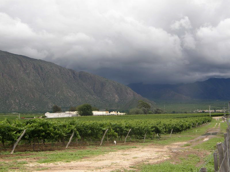 Die Region ist vom Weinanbau geprägt.