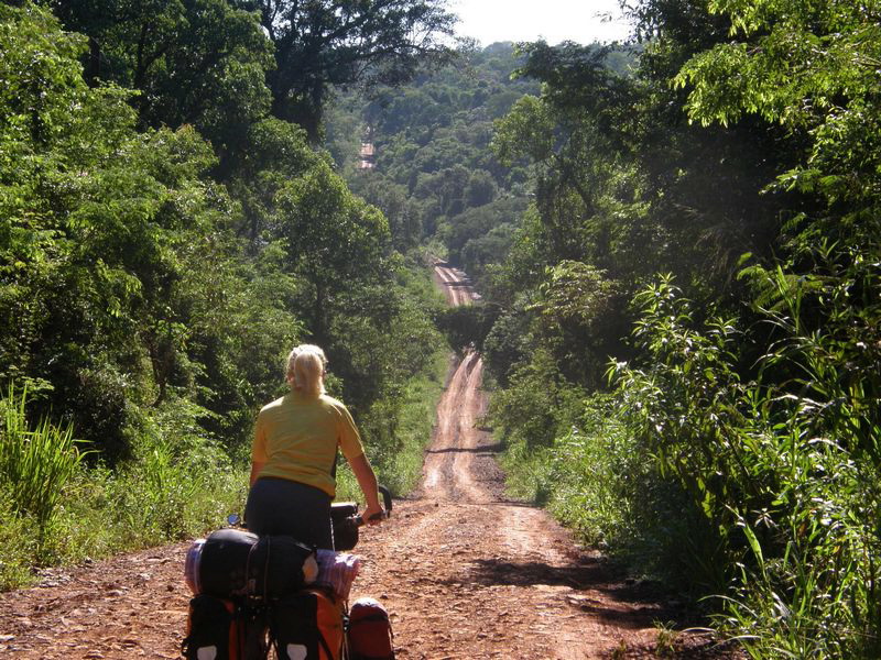Im Nationalpark Iguazu führt nur eine Naturpiste durch den wilden Dschungel.